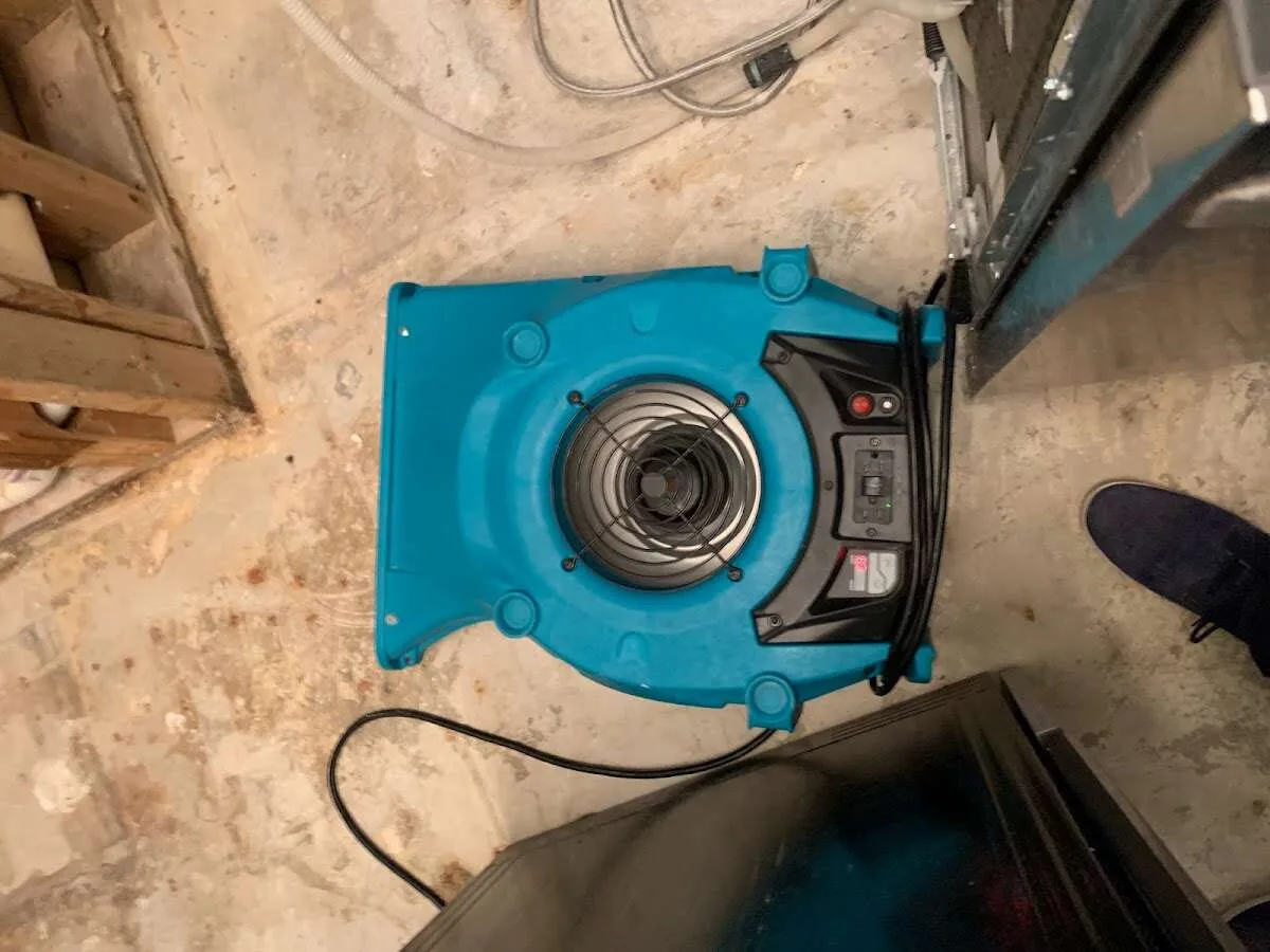 Air mover drying equipment for Mold Remediation & Removal in Marbletown